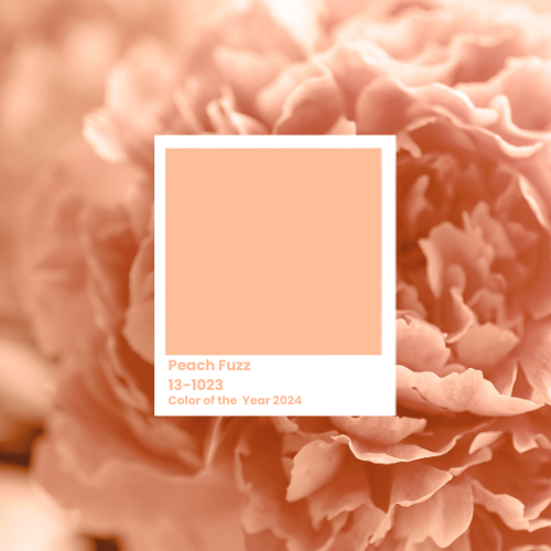 Read more about the article What does Peach Fuzz have to do with leadership?