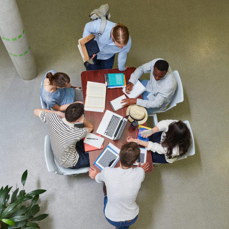 Read more about the article How strong is the learning culture within your team?